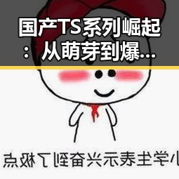 国产TS系列崛起:从萌芽到爆发的时间线回顾