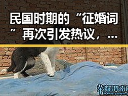 民国时期的“征婚词”再次引发热议,才子佳人的浪漫传说是真的假的?