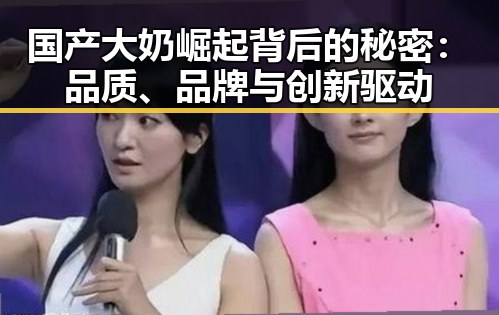 国产大奶崛起背后的秘密：品质、品牌与创新驱动
